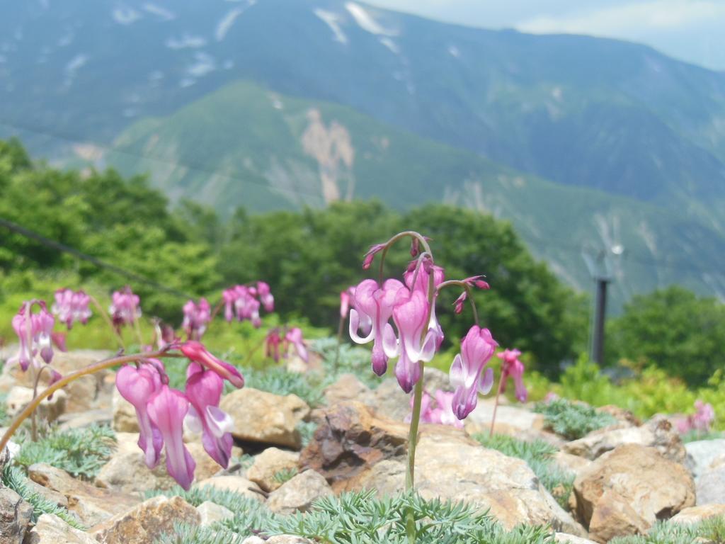 Pension Ciel Hakuba Exterior foto
